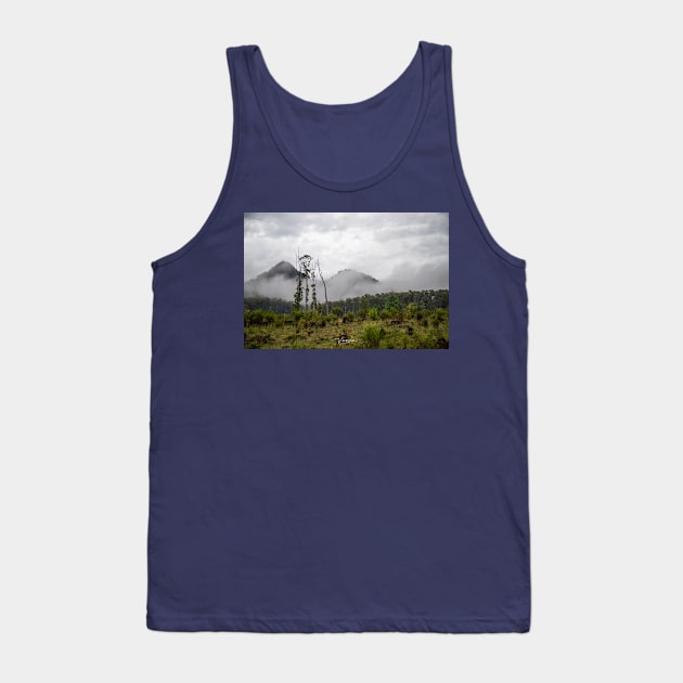 Cathedral Range, Taggerty, Victoria, Australia. Tank Top by VickiWalsh